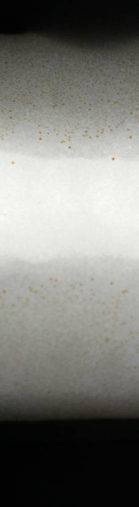 看片子怎么回事