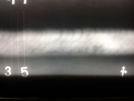 各位朋友們 來評評這張片子，這是什么東東？