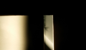 底片圈中的是啥東東？