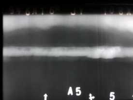 歡迎高手來評片定性，隨后附實物